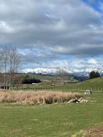 Boutique Tiny House - Te Anau Country Accommodation Екстер'єр фото