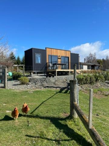 Boutique Tiny House - Te Anau Country Accommodation Екстер'єр фото